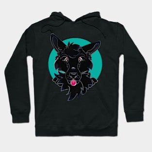 Black diamond Hoodie